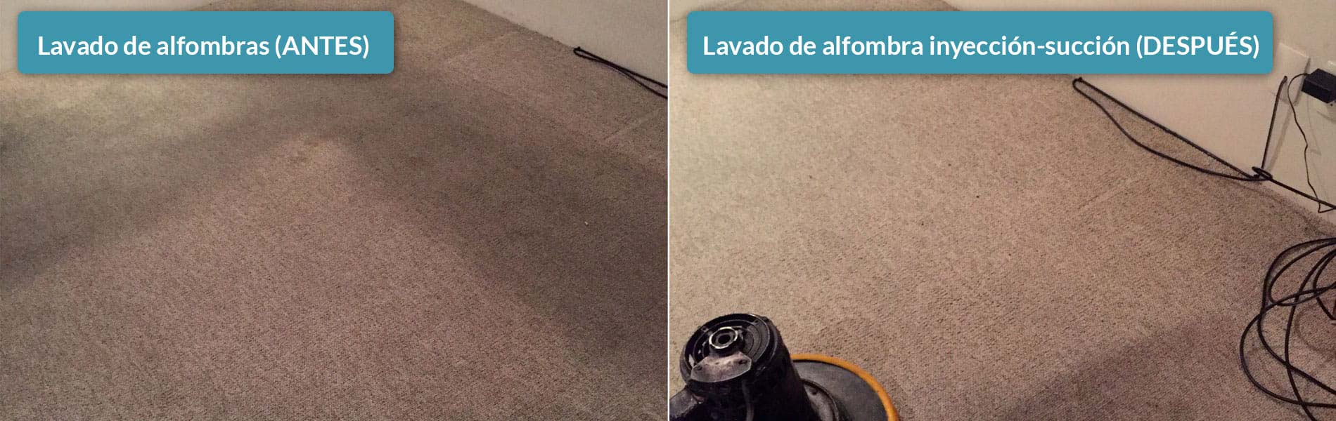 Limpieza profesional de alfombras df