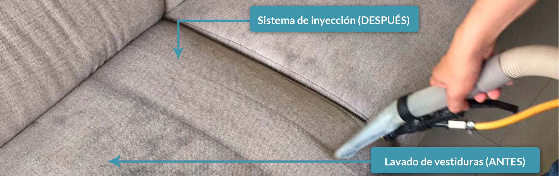 Limpieza profesional de alfombras df