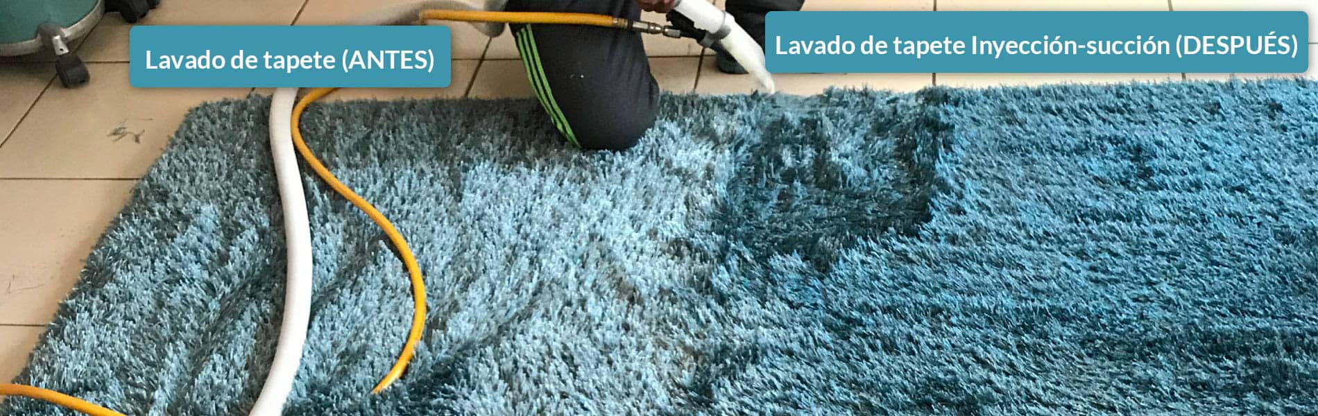 Limpieza profesional de alfombras df